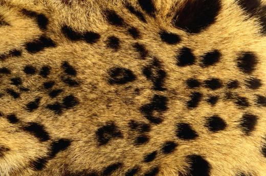 645299 (a): :2560x1690
